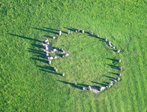 CastleriggStoneCircle(SimonLedingham)Jul2005